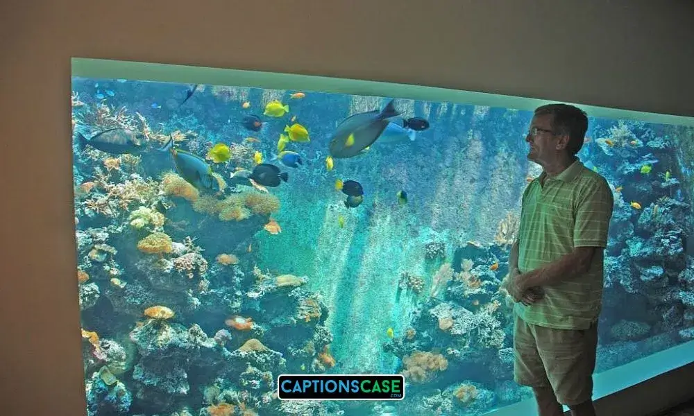 Aquarium Captions for Instagram